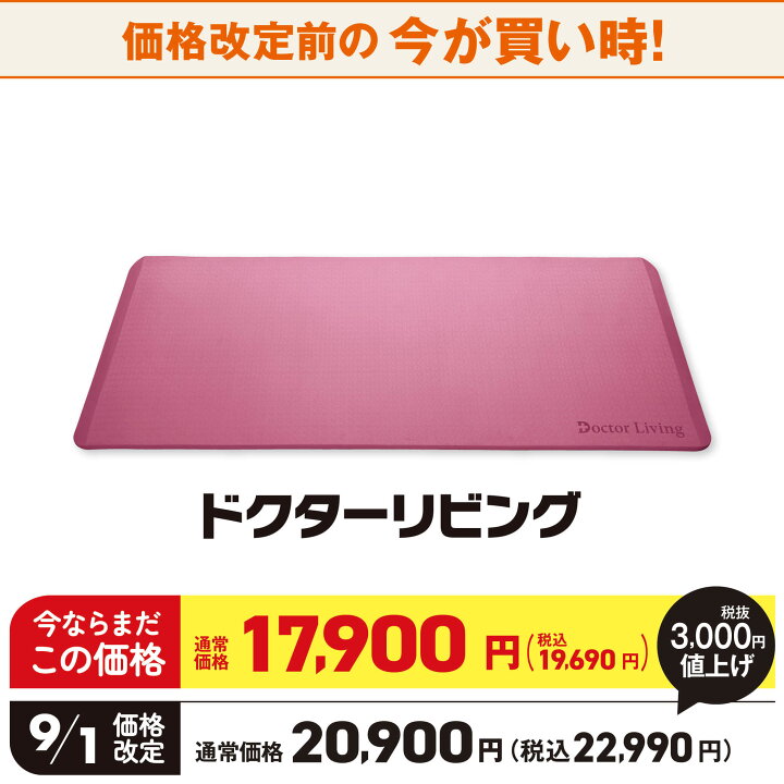 楽天市場】【9月1日値上げ】医師考案 ストレッチ マット ながらトレ 極 