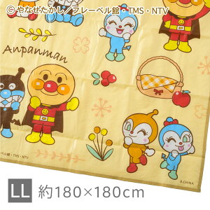 Ap} W[V[g i`J[ LLTCY 180×180cm [LN^[ h RpNg 5lp 傫 唻 q j̎q ̎q 킢  sNjbN AEghA   