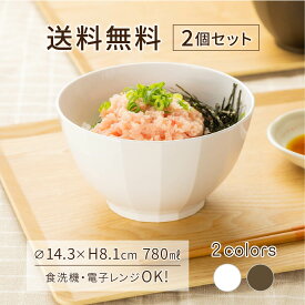 どんぶり 2個セット WAYOWAN すぐ [丼 食洗機対応 電子レンジ対応 樹脂製 耐熱 割れない 食器 麺類 そば うどん ラーメン スープ ボウル 洋風 和風 北欧 おしゃれ 可愛い 水切り 軽量 日本製 アサヒ興洋]