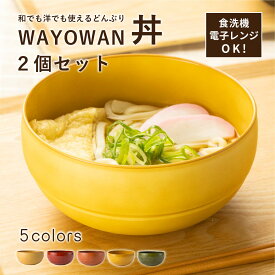 ＼P20％バック！さらに最大2000円OFFクーポン！11日1:59まで／ どんぶり 2個セット WAYOWAN [どんぶり 丼 食器 食洗機対応 電子レンジ対応 耐熱 割れない 大きめ 麺類 ラーメン そば うどん スープ サラダ ボウル 洋風 和風 北欧 おしゃれ 可愛い 水切り 新生活 日本製]