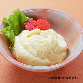やわらか百菜　ポテトサラダ　ミキサー食