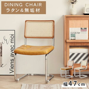 y5%OFFN[|&P5{Iz_CjO`FA `F[ VR ^ `FA CX  47cm 1r Vv _CjO`FA[ `FA ؐ w H֎q I|Ȃ |{bg