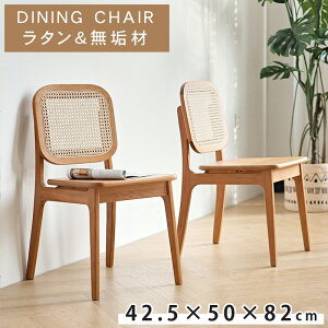 y5%OFFN[|&P5{Iz_CjO`FA `F[ VR ^ `FA CX  42.5cm 1r Vv _CjO`FA[ `FA ؐ w H֎q I|Ȃ |{bg