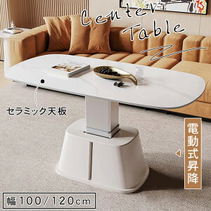 y8%OFFN[|&P2{IzZ^[e[u ~ d Z~bNV 100 120cm [e[u k  ϔM ɋ ₷ ȉ~` rO [  LX^[ Ζڒ 