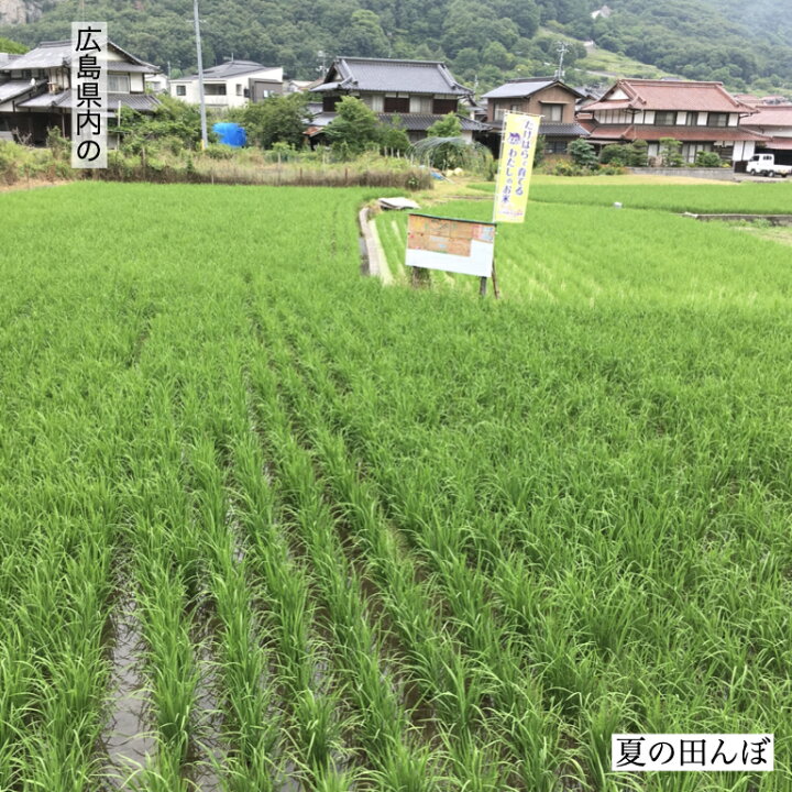 楽天市場】世羅あきさかり 令和7年広島県産 玄米 30kg お米 美味しい 
