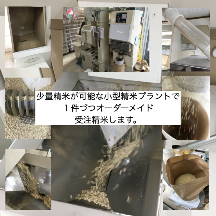 楽天市場】世羅あきさかり 令和7年広島県産 玄米 30kg お米 美味しい 