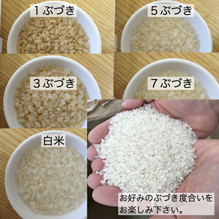 楽天市場】世羅あきさかり 令和7年広島県産 玄米 30kg お米 美味しい 