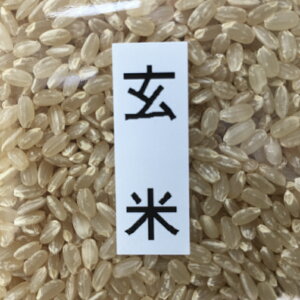 �V�� �������������� �ߘa7�N�L�����Y ���� 30kg ���� �������� �o�ג��O���� �����ĕ� �ԂÂ��� ���� �V�N�� ��������