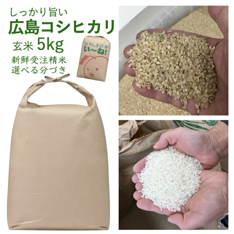 広島県産 コシヒカリ 玄米 5kg 令和5年産 お米 美味しい 出荷直前精米 つきたて米 ぶづき米 白米 新鮮米 送料無料 厳選お買い得
