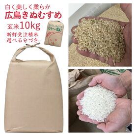 広島県産 きぬむすめ 玄米 10kg 令和5年産 お米 美味しい 出荷直前精米 つきたて米 ぶづき米 白米 新鮮米 送料無料 厳選お買い得