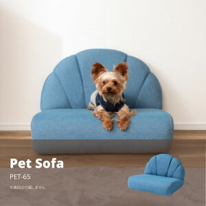 ybg \t@ u[ Č L PET-65 ybg\t@ \t@ RpNg ybg  L  rt u[ ӂ ֎q [\t@ 킢  ybgpi