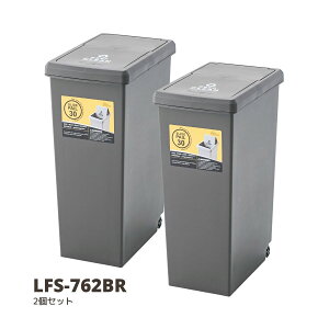 S~   XChy[30L uE W24×D37×H53 ݔ 2Zbg cJx[X K[WCt { LFS-762BR