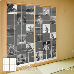 q SWq sb} TGL_006S 21g ̂œ\^Cv 91cm×182cm ATqy