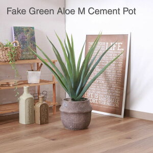 tFCNO[ AG M Zg|bg 41136