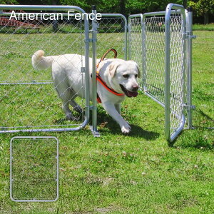 y|Cg5{ 11/20 20:00`11/27 01:59܂ŁzAJtFX SF9012 56250