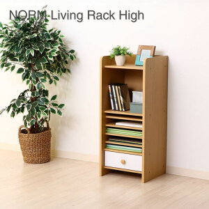 �y�|�C���g5�{ 4/14 20:00�`4/17 01:59�܂ŁzNORM ���r���O���b�N �n�C NA×WH 97609