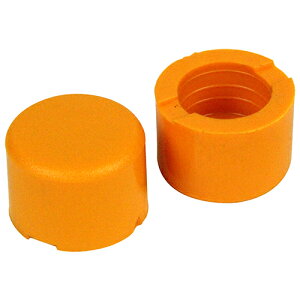 y|Cg5{ 12/4 20:00`12/11 01:59܂ŁzSK11 \tgn}[֓ 1/2LBS Y fwsg