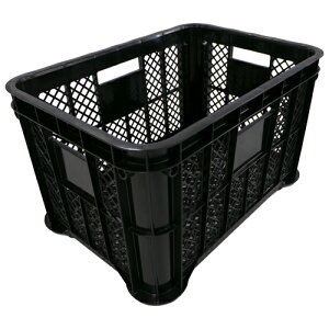 S ̏WRei bV N ؁Eʎ fwsg