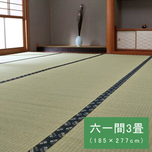 �����Y ���� ��~�� �J�[�y�b�g �����D �~�� �Z���3�� (��185×277cm�j ���� ���Y ���{�� �a�� �~�� �������ȒP �� �R�ۖh�L ���� ���L ��C���� ����ɂ���