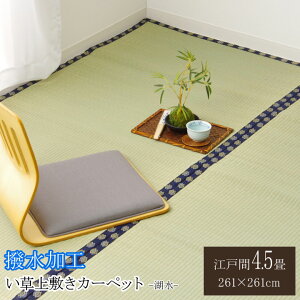 y|Cg5{ 12/4 20:00`12/11 01:59܂Łz ~ ~ ͂ J[ybg n  ΐ ]ˊ4.5 (261×261cmj  a ~ ȒP  RۖhL  L C 