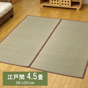 ԂJ[ybg DXA} \CP ]ˊ4.5 (261×261cm) (:sDzj ~ a ~ rO t[O Vv ȒP  RۖhL  L C ɂ