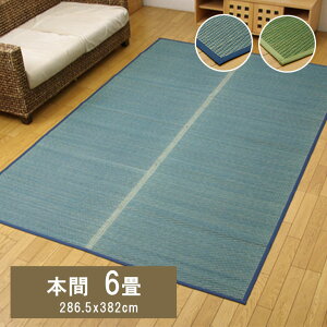 Ԃ J[ybg DXN[ {6 286.5×382cm (:sDz)  Ԃ ~ a ~ rO t[O { F ȒP  RۖhL  L C ɂ