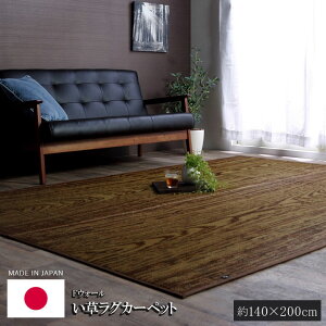 FEH[ O 140×200cm  ؖڒ J[ybg Y { ӂ {[O a rO ȒP  RۖhL  L C ɂ
