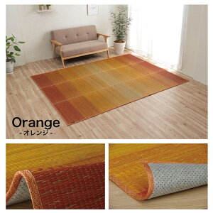 �������O NS�N���A ��190×300cm ���O ���ѐ��� �������R�ۍ� KOBA-GUARD ���� �R�ۖh�L ����~�� �s�D�z �� �O���f�[�V���� ���� �J�[�y�b�g �O���f�[�V���� �a�� ���r���O �������ȒP ���� ���L 