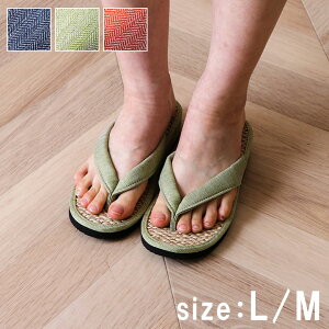  T_ fB[X  xgi [`F M KTCY 22.5`24cm p a t Mtg Vv ɂ AWA ȒP