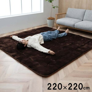 O ~zc ` LO 220×220cm 唻h[N R^c ~zc J[ybg ӂ {[O h ۉ Vv n 􂦂 