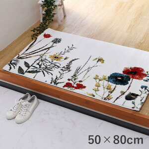 gR EBgD փ}bg {^jJ 50×80cm ԕ i RۖhL L v ւɂ \t@[Op xbhTChp