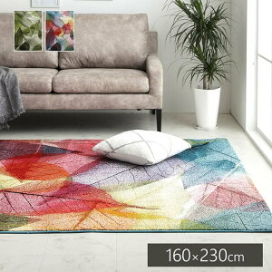 y|Cg5{ 11/20 20:00`11/27 01:59܂ŁzgR EBgD O J[ybg n~ 160×230cm ` rO \t@[O O~ [t }` {^jJ GRebNX ϋv v 