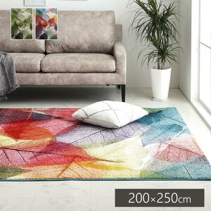 y|Cg5{ 11/20 20:00`11/27 01:59܂ŁzgR EBgD O J[ybg n~ 200×250cm ` rO \t@[O O~ [t }` {^jJ GRebNX ϋv v 