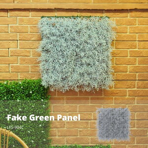 tFCNO[ pl zCg LFS-904C