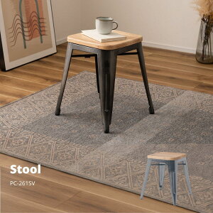 Xc[ Vo[ PC-261SV X JtF EW r[ ze @l Xc[ `FA `FA[ CX ֎q TChe[u  ACA ؐ VR i Vv C_XgA