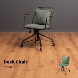 y|Cg5{ 11/4 20:00`11/11 01:59܂ŁzfXN`FA O[ PC-81GR X JtF EW r[ ze @l