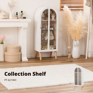 RNVVFt zCg PT-621WH RNVVFt bN A[`^ I [ tBMAP[X KX i` K[[ k ؐ ObY I^N 