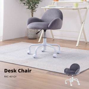 y|Cg5{ 11/4 20:00`11/11 01:59܂ŁzfXN`FA O[ RKC-401GY X JtF EW r[ ze @l