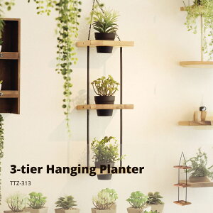 y|Cg5{ 11/4 20:00`11/11 01:59܂ŁznMOv^[3i uE TTZ-313