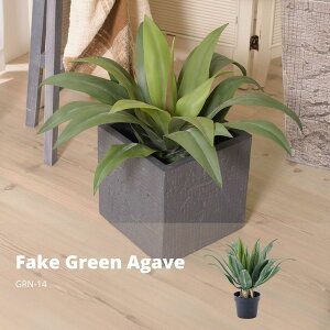 tFCNO[ AKx O[ GRN-14 tFCNO[ ϗtA lHϗtA AKx t  CeA  O[ [t  K[f  