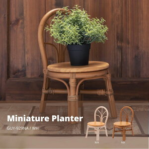 y|Cg5{ 11/20 20:00`11/27 01:59܂Łz~j`Av^[ i` K[ft@j`[ ԑ GUY-929NA v^[ `FA^ ~j`A ~j`Av^[  ^  V