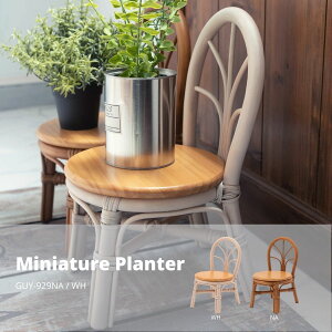 y|Cg5{ 11/20 20:00`11/27 01:59܂Łz~j`Av^[ zCg K[ft@j`[ ԑ GUY-929WH v^[ `FA^ ~j`A ~j`Av^[  ^  VR