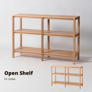 I[vVFt F5-103NA i` TCY W120×D36×H80 bN VFt 3irO[ I {I Ch 傫 傫 ؐ VR I[N Ebh ` p^ Lb`[  k 