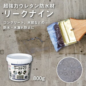 ̓E^h [NiC L005 NA 800g ATqy