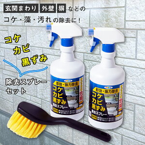 JrXv[ RPEJrEݏXv[Zbg 800g 2{ nfBuV 1{ ATqy |pi  Xv[ A RN[g | Jrh~ Jr 