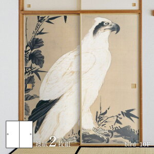 y|Cg5{ 11/20 20:00`11/27 01:59܂Łzӂ܎ Aj} fUC  Aj} fUC ͓̊ō hɉ}  bird_10F21g œ\^Cv 91cm×182cm ATqy