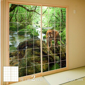 q Aj} fUCq Ղ̊ т̉ Tiger_10S 21g ̂œ\^Cv 91cm×182cm ATqy