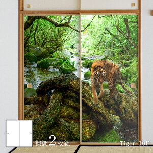 ӂ܎ Aj} fUC  Ղ̊ т̉ Tiger_10F21g œ\^Cv 91cm×182cm ATqy