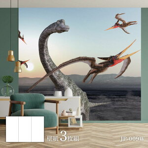 V[Y Jm^EXT-REX Jx 92cm×262cm 3 JP-009W  Ñ   a m m _ CeA
