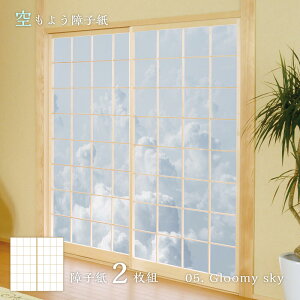 q 悤q sky-05S Gloomy sky 91cm×182cm 21g ̂\^Cv q 傤 傤 _ ATqy m   _ ܂  A[g fUC